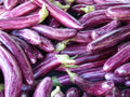 Kostenlose „FODMAP-gentle“ Liste